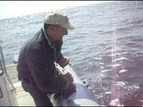 Pesca submarina en el Estrecho EL NIÑO Limon 22.5 kg