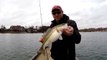 Spring Bass Fishing, Lake Norman   Mar  14, 2015