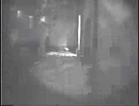 kentucky fried chicken - chicken abuse Hidden video