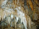 Cueva Del Guácharo