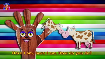 Download Video: Finger Family Nursery Rhymes for Children Cow Cartoons