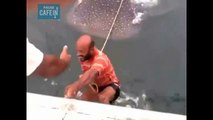 Quand 2 hommes prennent un requin-baleine pour une planche de surf