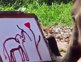 Elephant Drawing Elephant