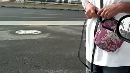 Pris au piège, ce chien n'avait plus aucune issue mais...