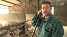 Prix de la viande bovine: Rencontre avec un éleveur (Vendée)