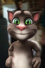 TalkingTomForMessenger(3).mp4