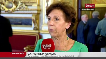 En séance - Projet de loi - dialogue social