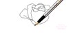 How to Draw a Rose Flower Easy Line Drawing Sketch