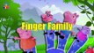finger family | pappa pig finger family | daddy finger daddy finger