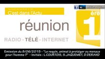 le requin, animal à protéger ou menace pour l'homme ? 8/06/2015
