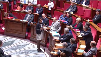 [ARCHIVE] Sections d’enseignement général et professionnel adapté : question au Gouvernement à l'Assemblée nationale, mardi 23 juin 2015