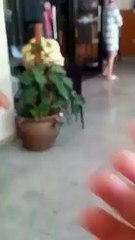 حصري فالعاصمة :o : شرطة دينية في تونس تلاحق المفطرين و تهدد أصحاب المقاهي ...