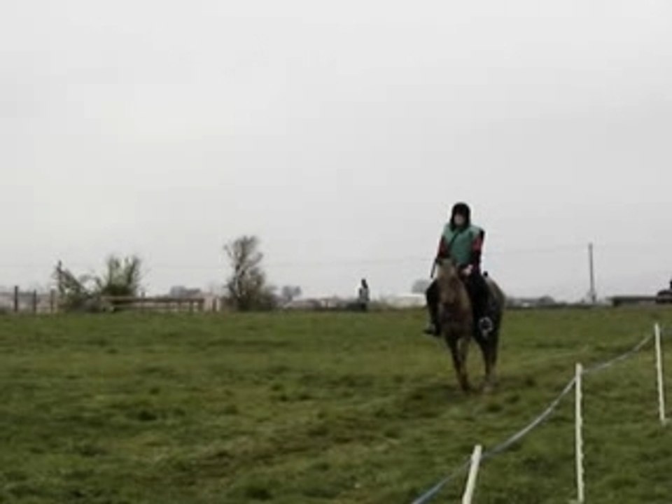 Fidji au pas " rapide "