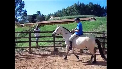 CALIFORNIA DO MONTE RASO