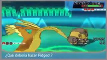 Mega-Pidgeot ¡EL DIOS! (Momentos épicos Pokémon)