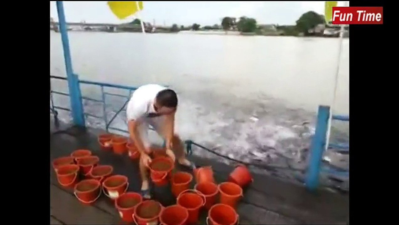 Fishes need some crazy feeding