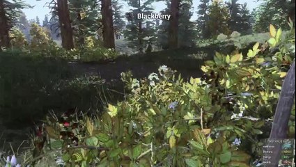 kikoudo Survie entre les zombies (REPLAY)