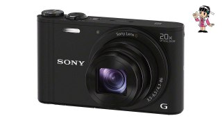 Sony WX350 18 MP Digital Camera (Black)