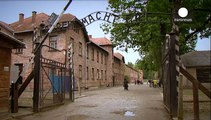 Британских подростков арестовали по подозрению кражи в Освенциме
