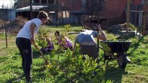 Why Community Gardening is Important -- Centenary College Community Garden