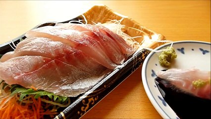 [ Japanese cuisine] Eating Japanese food Washoku Sashimi  IsakiChicken grunt Sashimi イサキ刺身