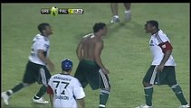 Briga feia no jogo Palmeiras x Gremio Hd Obina e Mauricio, jogadores demitidos