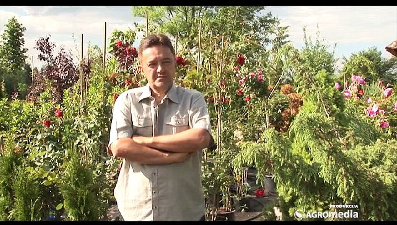 Predstavljamo rasadnik Topalović – jedan od najstarijih u našoj zemlji_403_06.06.2015.