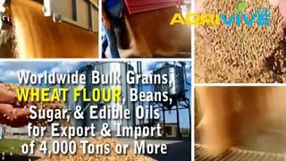 Wheat Flour Suppliers, Wheat Flour Suppliers, Wheat Flour Suppliers, Wheat Flour Suppliers, Wheat Flour Suppliers, Wheat