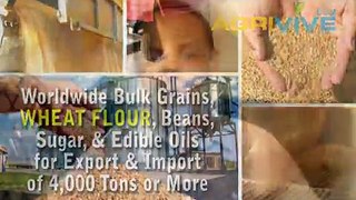 Bulk Wheat Flour Import, Wheat Flour Import, Wheat Flour Import, Wheat Flour Import, Wheat Flour Import, Wheat Flour Imp