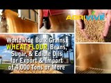 Bulk Wheat Flour Export, Wheat Flour Export, Wheat Flour Export, Wheat Flour Export, Wheat Flour Export, Wheat Flour Exp