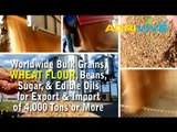 Bulk Wheat Flour Purchasing, Wheat Flour Purchasing, Wheat Flour Purchasing, Wheat Flour Purchasing, Wheat Flour Purchas