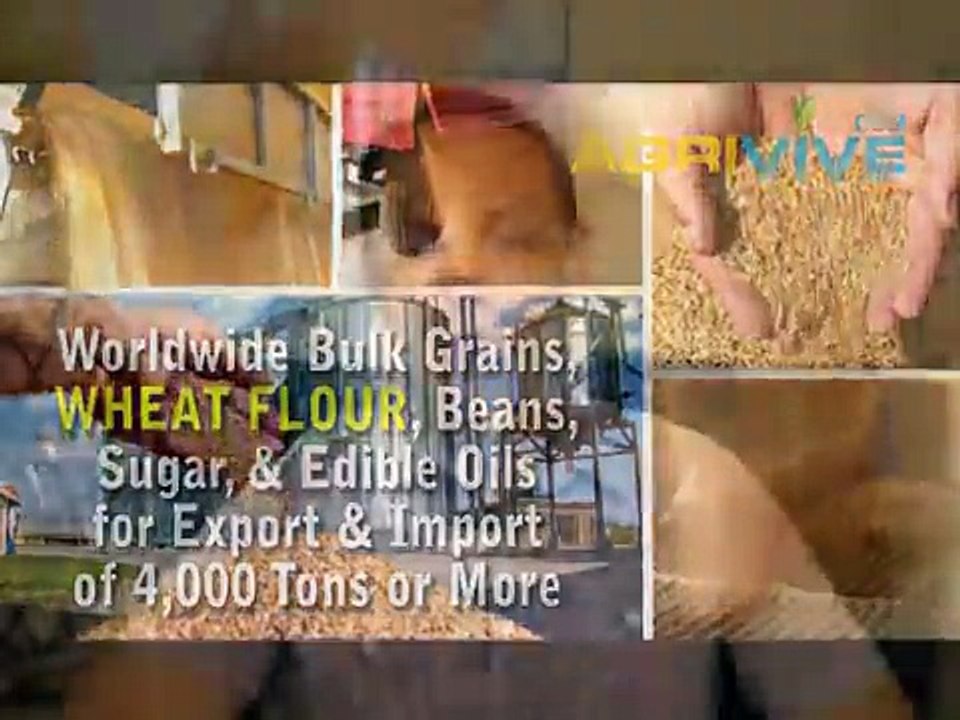 Bulk Wheat Flour Manufacturing, Wheat Flour Manufacturing, Wheat Flour Manufacturing, Wheat Flour Manufacturing, Wheat F