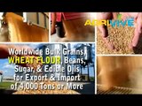 American Wholesale Wheat Flour Trade, Wheat Flour Trade, Wheat Flour Trade, Wheat Flour Trade, Wheat Flour Trade, Wheat