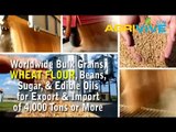 American Wholesale Wheat Flour Manufacturing, Wheat Flour Manufacturing, Wheat Flour Manufacturing, Wheat Flour Manufact