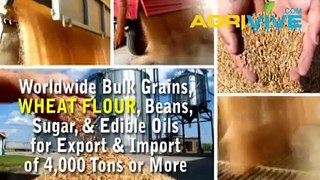 Buy USA Bulk Wholesale Bulk Wheat Flour, Bulk Wheat Flour, Bulk Wheat Flour, Bulk Wheat Flour, Bulk Wheat Flour, Bulk Wh