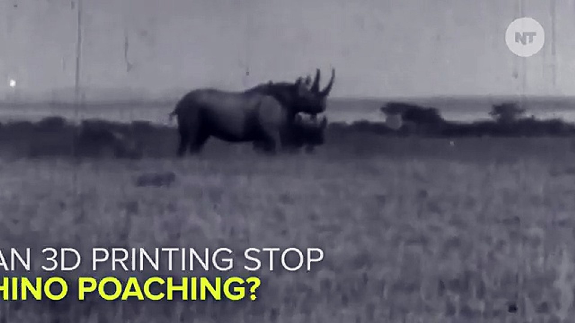 ⁣Can 3D Printing Save The Rhinos?