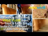 Buy USA Bulk Wholesale Wheat Flour Distribution, Wheat Flour Distribution, Wheat Flour Distribution, Wheat Flour Distrib