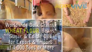 Buy USA Bulk Wholesale Wheat Flour Trading, Wheat Flour Trading, Wheat Flour Trading, Wheat Flour Trading, Wheat Flour..