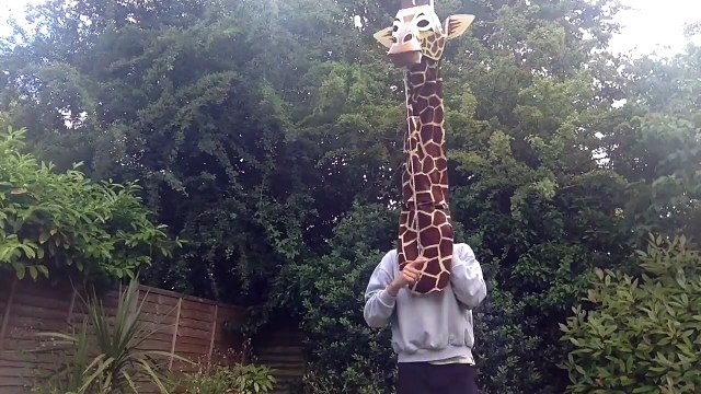 Une girafe qui chante du Marvin Gaye! La classe