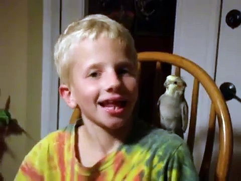 laughing cockatiel