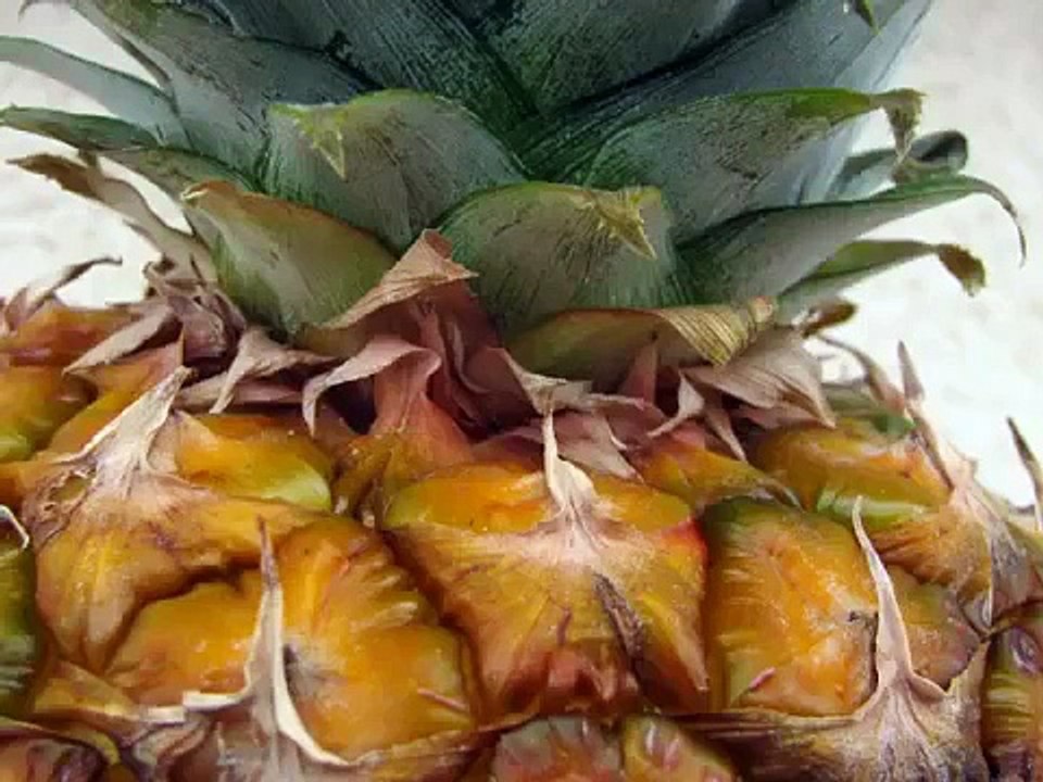 Faire pousser facilement un ananas à la maison