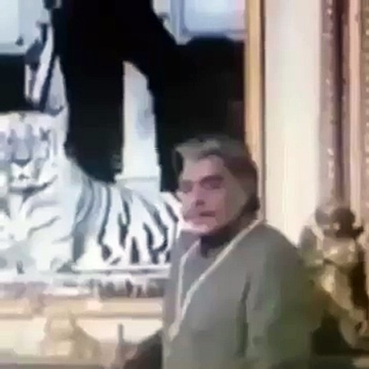hhhh-vvvv-funny-video-dailymotion