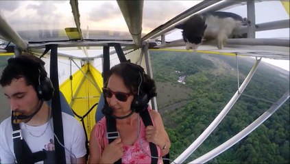 Un pilote découvre un chat dans son ULM en plein vol