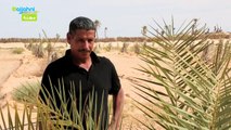 Directeur d'une société agricole - wajjahni مدير شركة فلاحية - وجهني