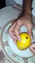 American Agent Mango Prank