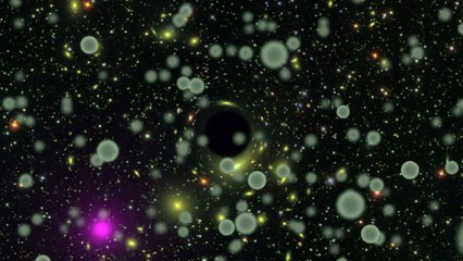 Turning Black Holes into Dark Matter Labs - HD