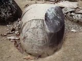 Piedras de los Bateyes Tainos, Puerto Rico