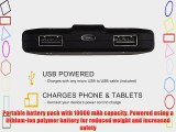 AmazonBasics Portable Power Bank - 10000 mAh
