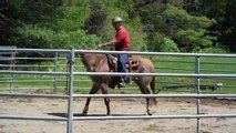 how to fix a bucking horse