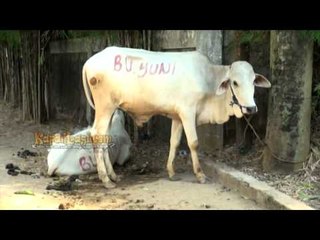 Makna Idul Adha Bagi Yuni Shara
